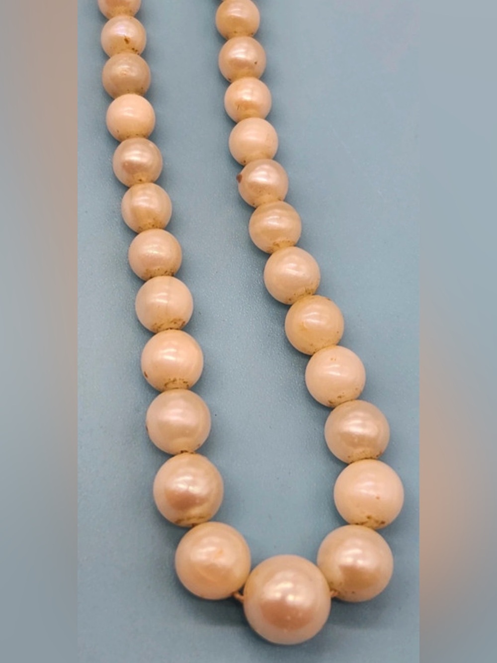 Classic Cream graduated Pearl Necklace with 10 karat, white gold, clasp.